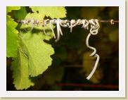 2006-10-21_16-54-58_octobre_173,0mm_1_250_eme_DiMAGE A2 * 2560 x 1920 * (1.11MB)